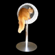 Image for article titled Mansions and Fine Art Made Especially for Cats and Dogs